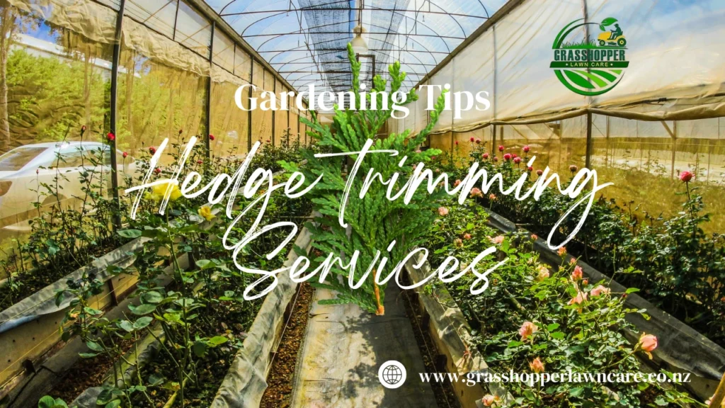 hedge trimming services